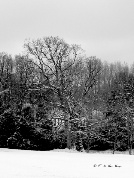 Bois des Moutiers Winterreise (38)